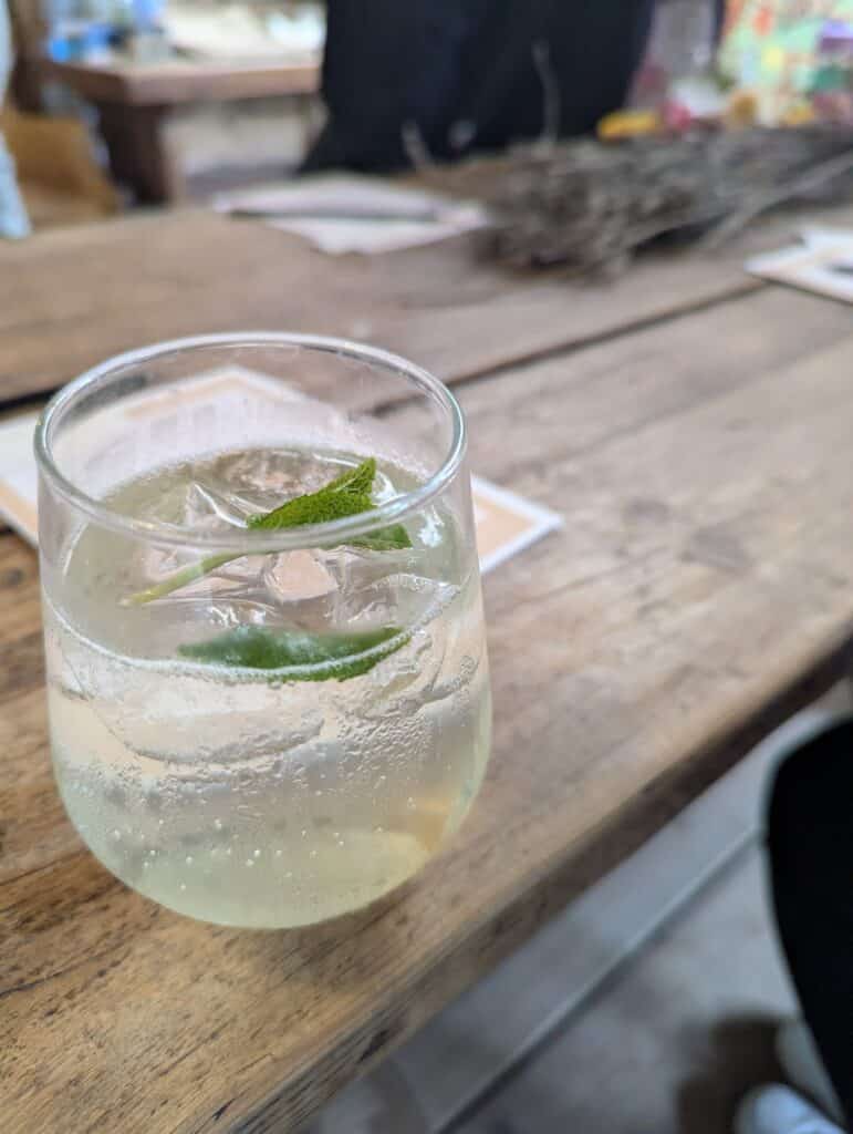 elderflower drink